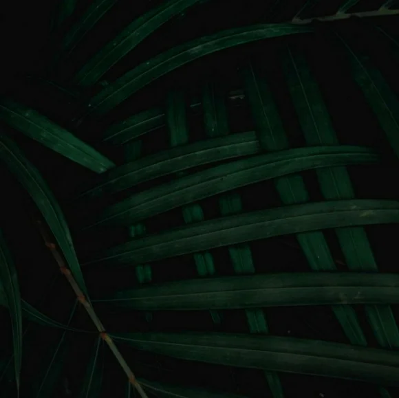 READ MORE - Picture 1 of 1